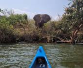 Zambezi Canoe Safari