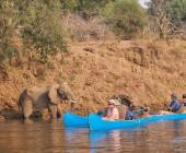 Zambezi Canoe Safari