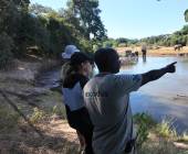 Zambezi Canoe Safari