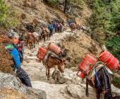 Everest & Gokyo Lakes Circuit