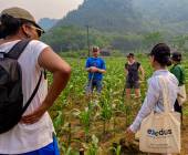 Trails of Vietnam