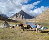 Ladakh: Nubra Valley Trek