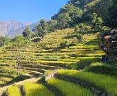 Annapurna Circuit Trek