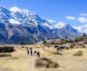 Annapurna Circuit Trek
