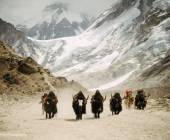 Everest & Gokyo Lakes Circuit