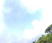 Walking in the Azores