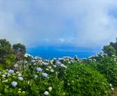 Walking in the Azores