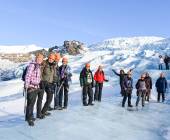 Iceland Northern Lights