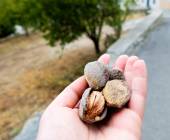 Mount Kliosi,Evia walk