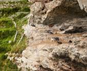 Amalfi Coast Family Adventure