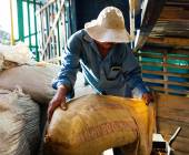 Costa Rica Coast to Coast Ride