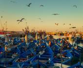 Highlights of Morocco – In Comfort