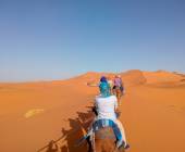 Highlights of Morocco – In Comfort