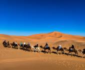 Highlights of Morocco – In Comfort