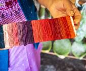 Discover Mexico – Day of the Dead (Oaxaca)