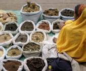 Highlights of Northern India