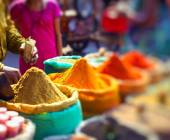 Highlights of Northern India