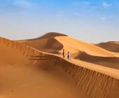 Highlights of Morocco – In Comfort