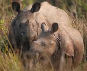 Highlights of Northern India & Nepal