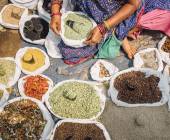 Highlights of Northern India & Nepal