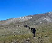 Peaks of Ladakh Trek