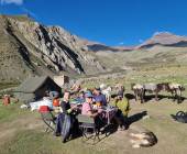 Peaks of Ladakh Trek