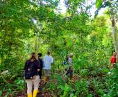 Borneo Wildlife Discoverer