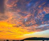 Borneo Wildlife Discoverer