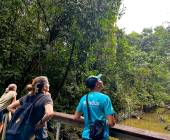 Borneo Wildlife Discoverer