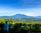 Borneo Wildlife Discoverer