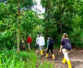 Borneo Wildlife Discoverer