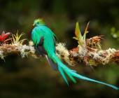 Costa Rica’s Coastal Secrets