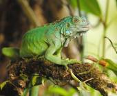 Costa Rica’s Coastal Secrets