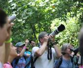 Costa Rica’s Coastal Secrets