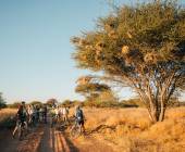 Cycle Namibia
