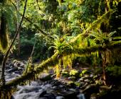 Costa Rica’s Coastal Secrets