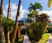 Arenal Paraiso