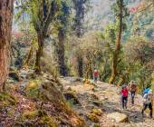 Annapurna Sanctuary Trek
