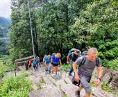 Annapurna to Chitwan: Walks & Wildlife