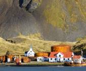 South Georgia and Antarctic Peninsula: Penguin Safari