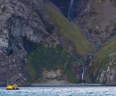 South Georgia and Antarctic Peninsula: Penguin Safari