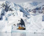 South Georgia and Antarctic Peninsula: Penguin Safari