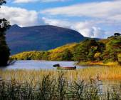 Walking the Kerry Way and Killarney National Park