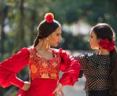 flamenco