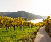 Wachau region