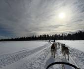 Swedish Lapland Winter Adventure