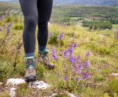 Dordogne Self-Guided Activities