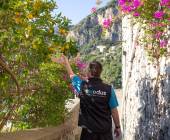 Highlights of the Amalfi Coast