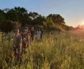 Botswana & Namibia: Delta & Dunes