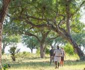 Botswana & Namibia: Delta & Dunes